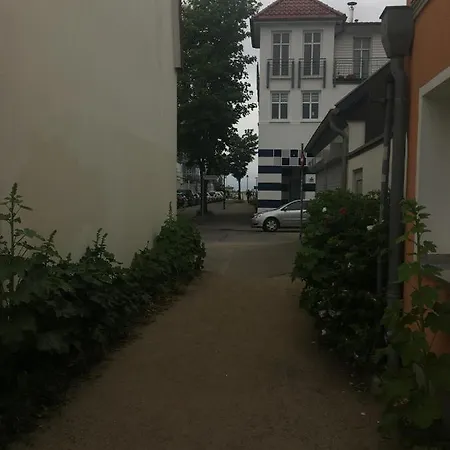 Nr.31 *